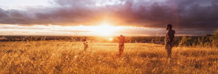 slider_landscape