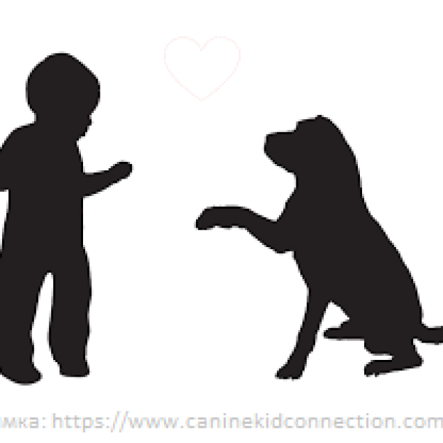 tczdrav_kid-and-dog